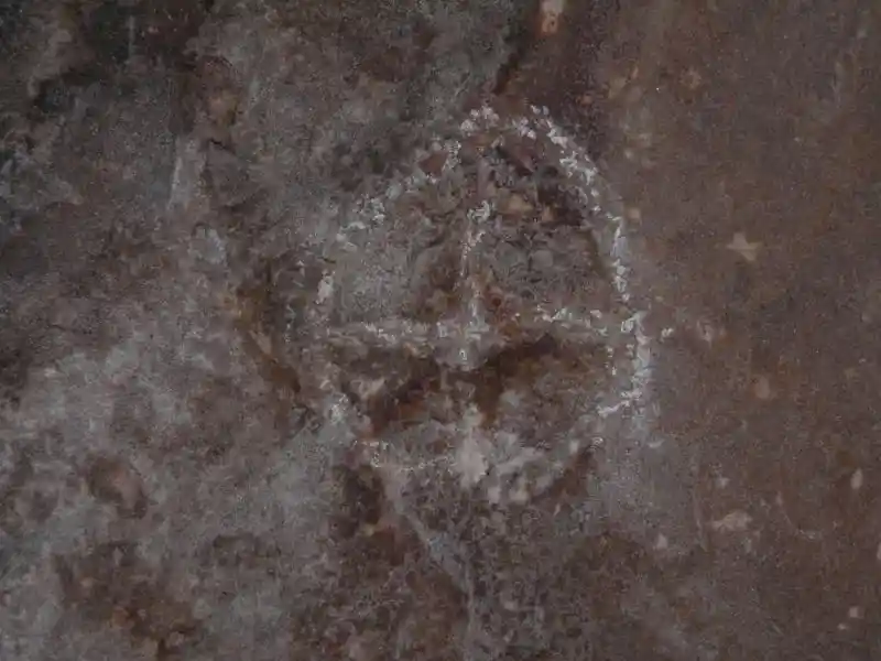 Four-point cross inside a circle on a stone in the grave of Jeremiah